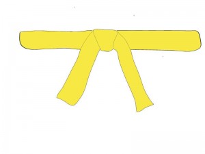 8. Kup - Der gelbe Gürtel: Er verkörpert bereits gewonnen Erfahrung und die Farbe der Erde. Der Schüler hat schon erste Kenntnisse gesammelt.