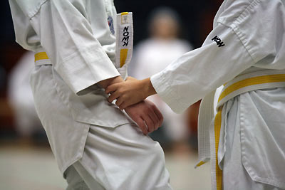 Kup-Prüfung 2010 des SSK-Kerpen - Die Kleinen machen den Anfang