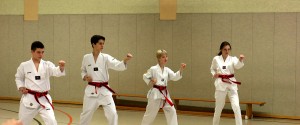 Das SSK-Taekwondo-Team beim Danvorbereitungslehrgang in Viersen