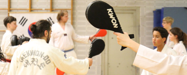 Taekwond Kerpen: Wir suchen weitern nach Verstärkung für das SSK-Taekwondo Team