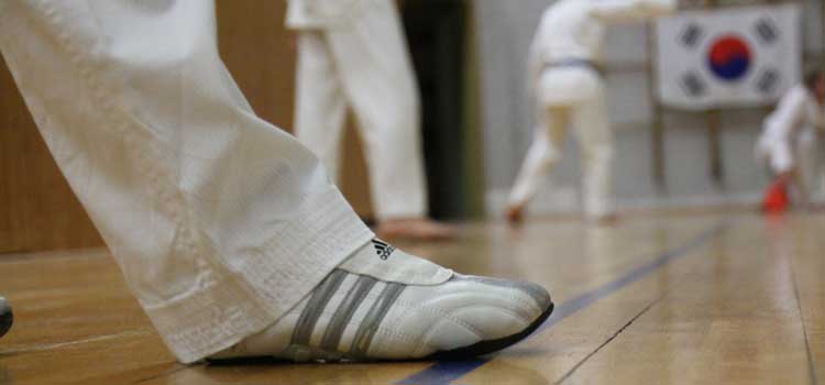 SSK-Taekwondo-Team: Kup-Prüfung am 03. Februar 2019 | Daten