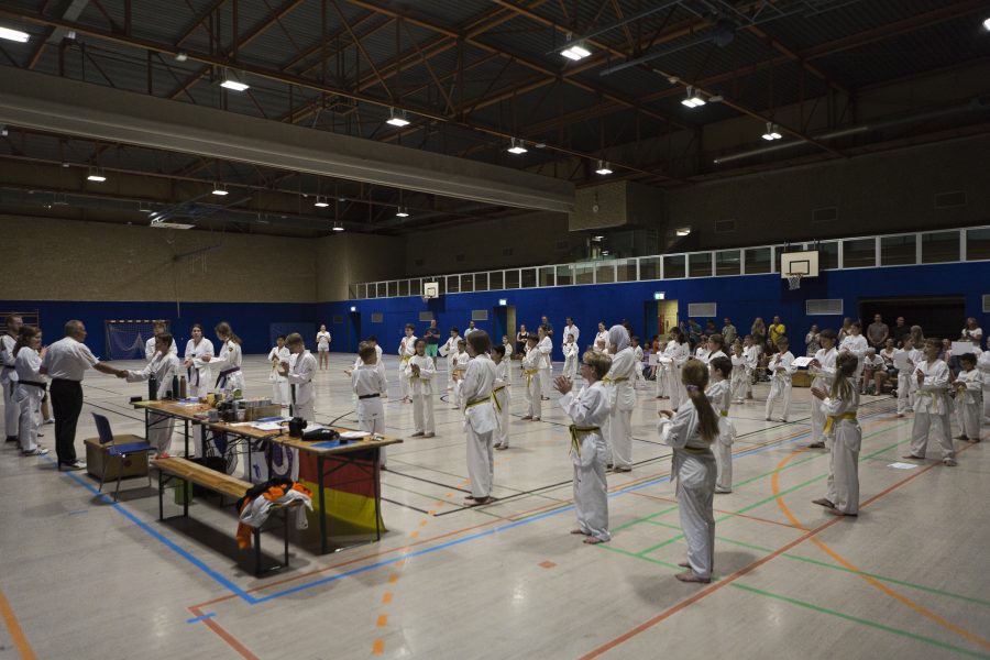 Bundesprüfer Klaus Ermler übergibt die Urkunden an die erfolgreichen Sportler des SSK-Taekwondo-Teams