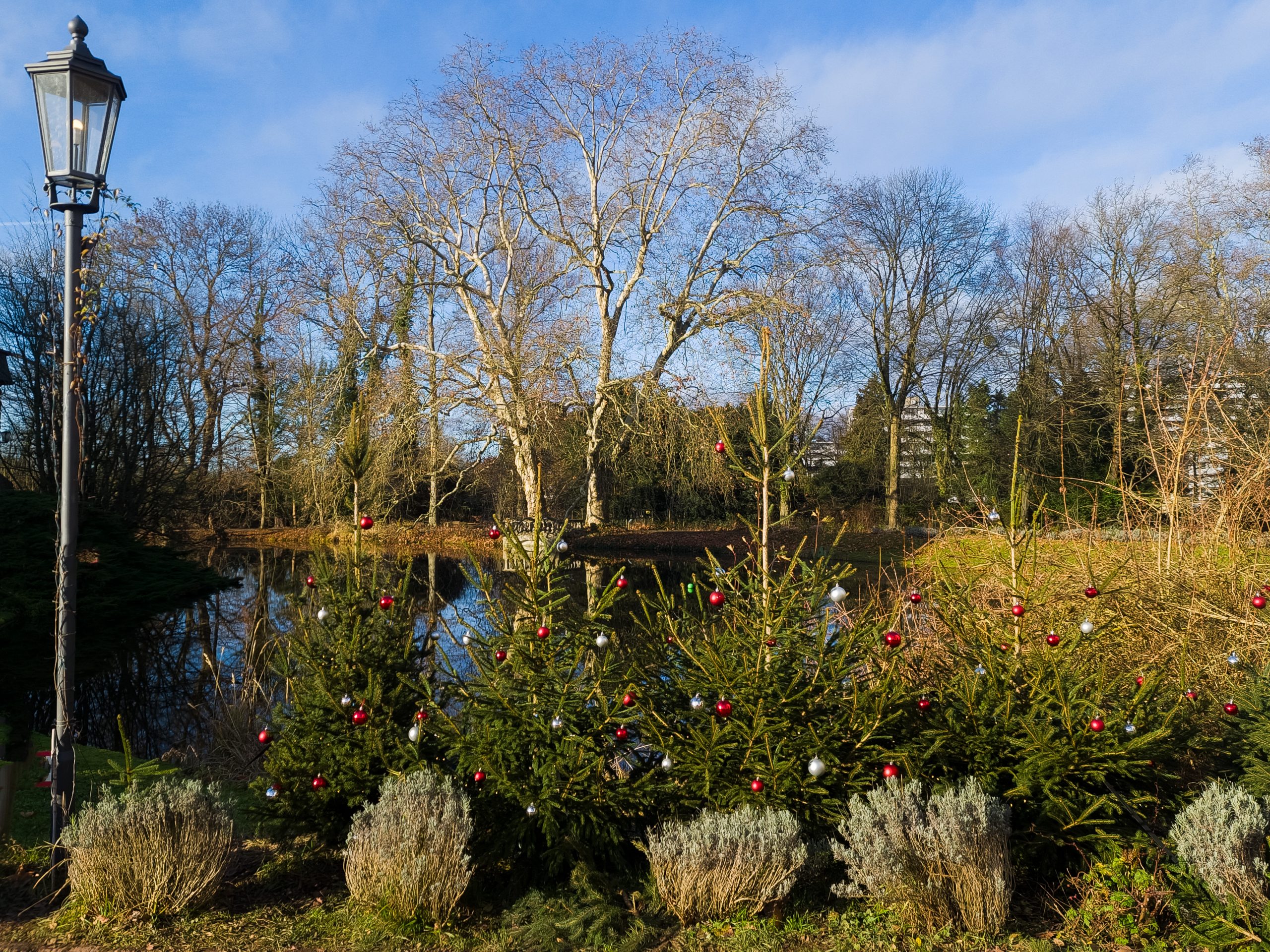 SSK-Taekwondo-Team Kerpen: Weihnachtspause und Hallenschließung 2025/2026